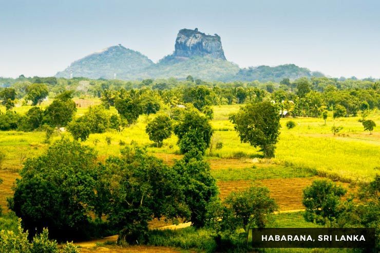 Sri Lanka Tour - 09 Days 08 Nights