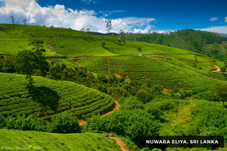 Ramayanaya Trail